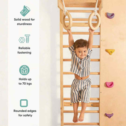 Wall Mounted Jungle Gym
