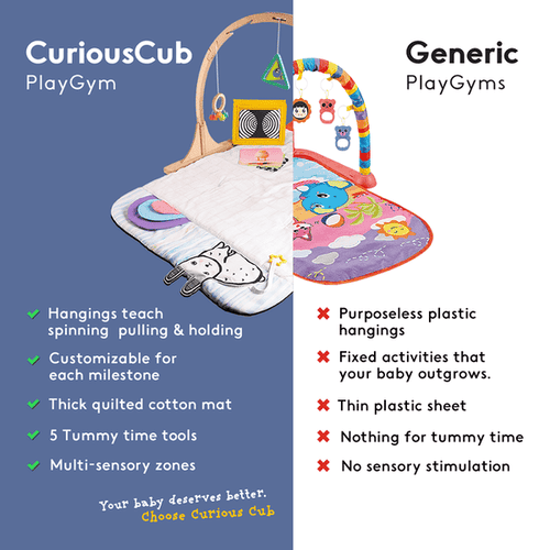 Play Gym – Curious Cub