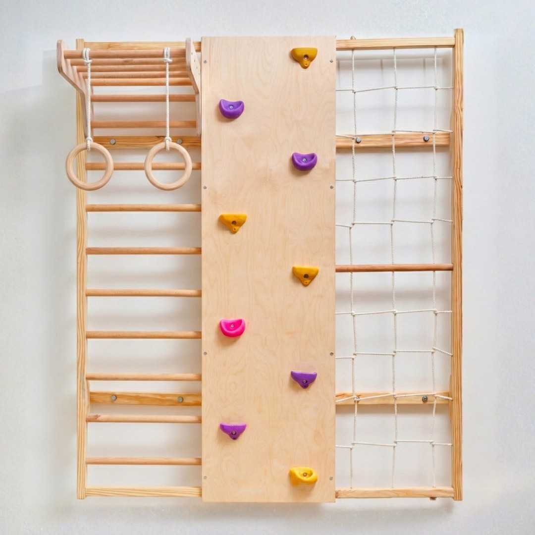 Wall Mounted Jungle Gym