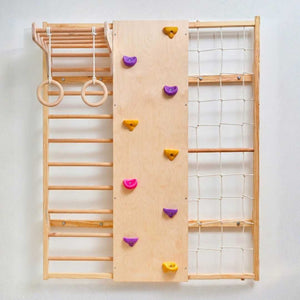 Wall Mounted Jungle Gym