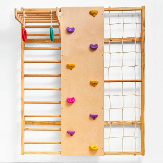 Wall Mounted Jungle Gym