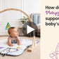 Play Gym