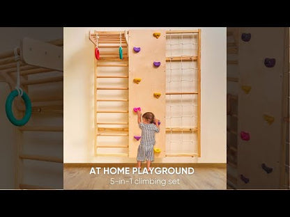 Wall Mounted Jungle Gym