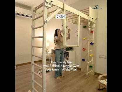 Wall Foldable Jungle Gym