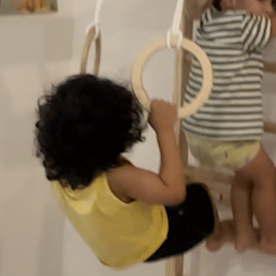Gymnastic Rings