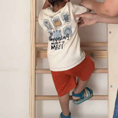 Wooden Ladder