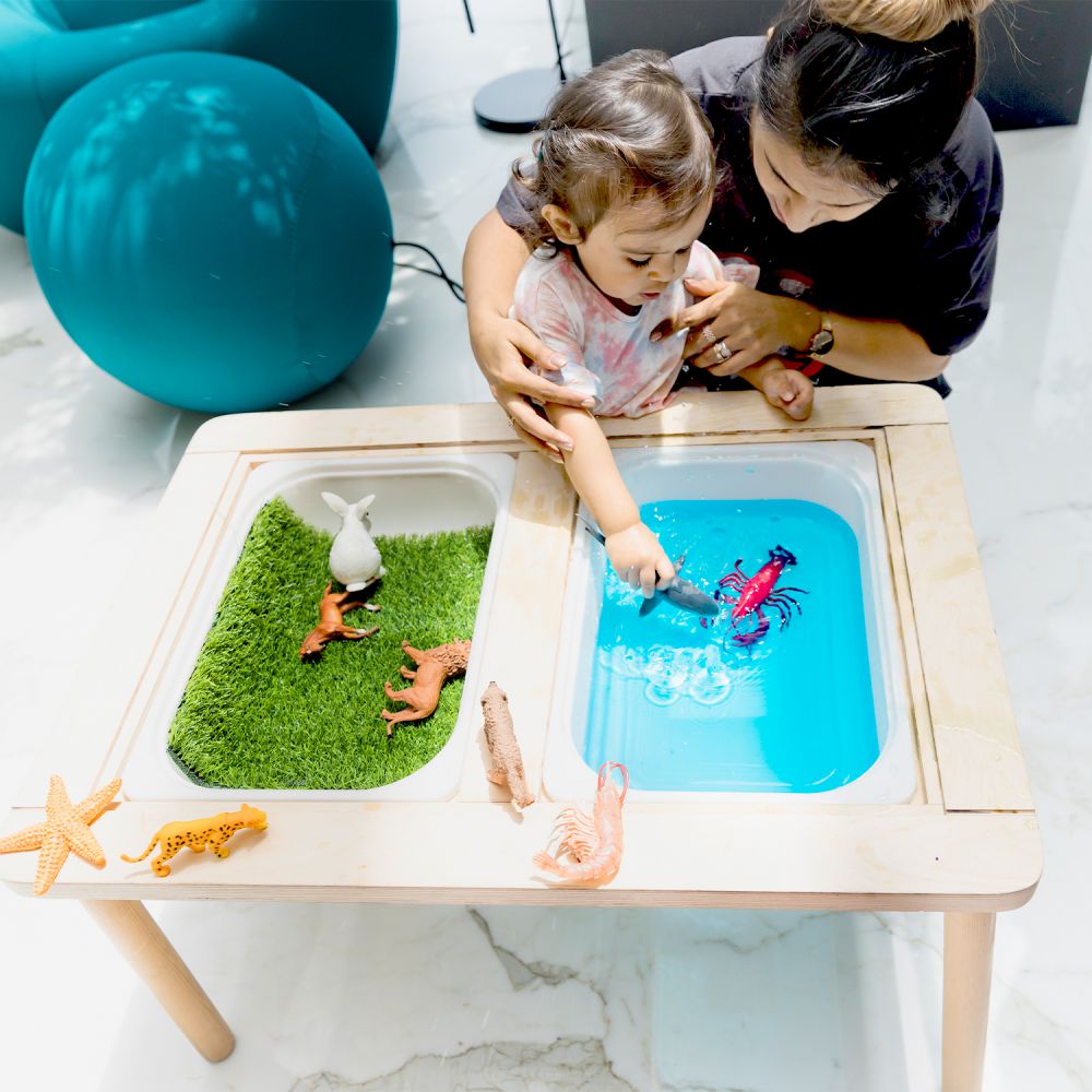 Sensory Table