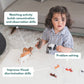 Montessori Box-19 months+